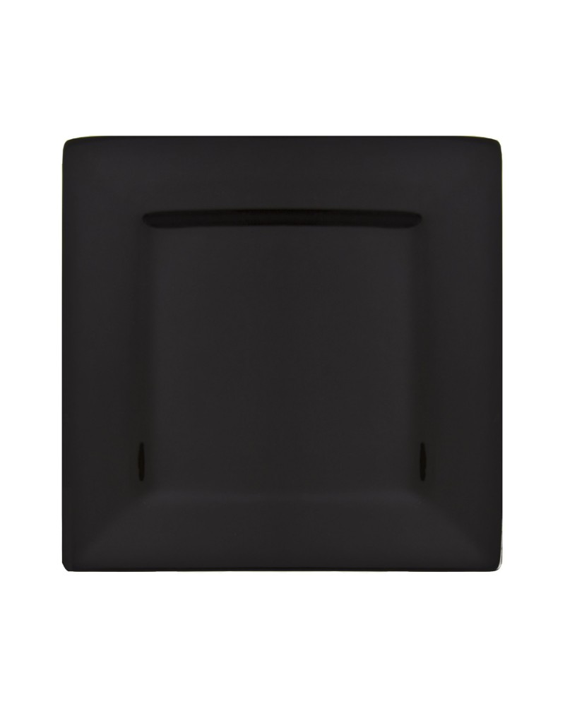 Whittier 10" Black Square Plate